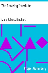 Cover of The Amazing Interlude — Reading Companion